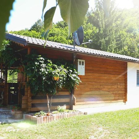 Studio Apartman Firdaus-Bihac, Dobrenica Bb Buitenkant foto
