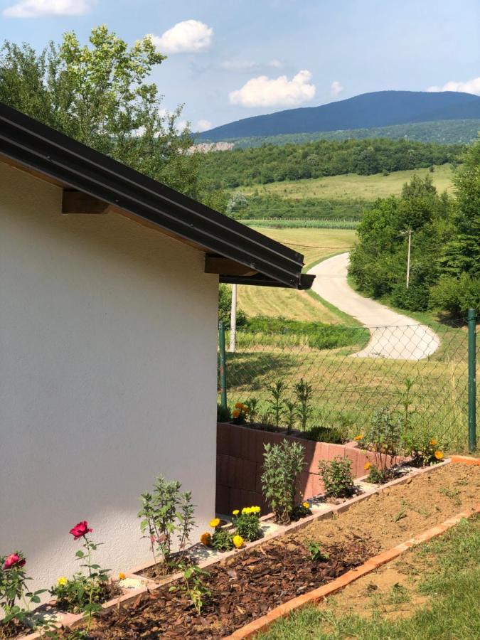 Studio Apartman Firdaus-Bihac, Dobrenica Bb Buitenkant foto