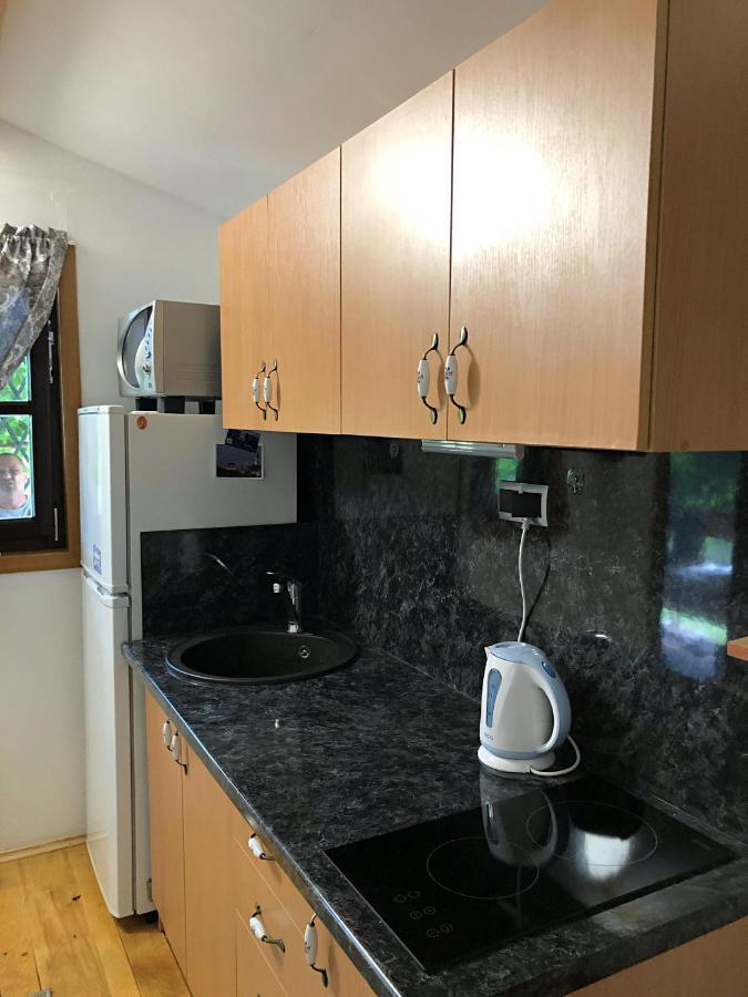 Studio Apartman Firdaus-Bihac, Dobrenica Bb Buitenkant foto