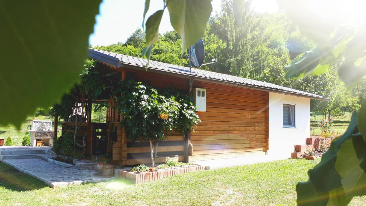 Studio Apartman Firdaus-Bihac, Dobrenica Bb Buitenkant foto
